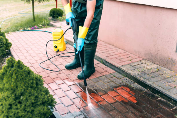 Best Roof Pressure Washing  in Coplay, PA