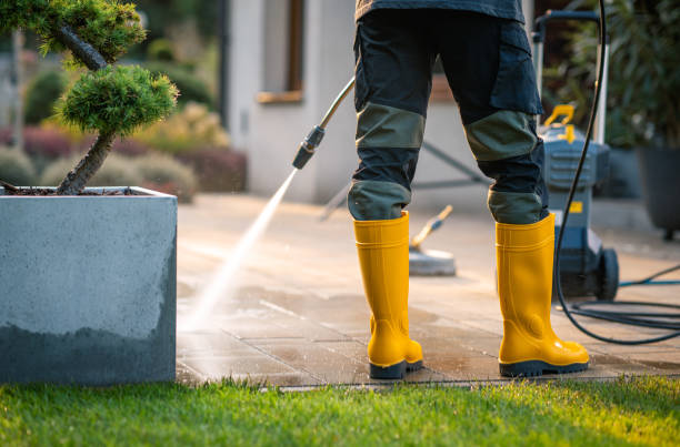 Best Power Washing Near Me  in Coplay, PA